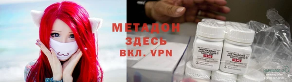 стаф Алзамай