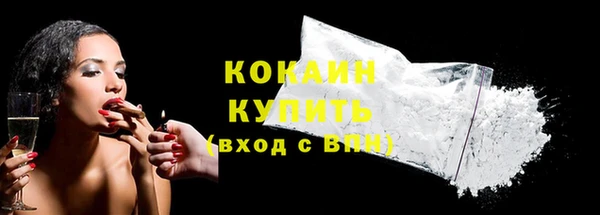 индика Протвино