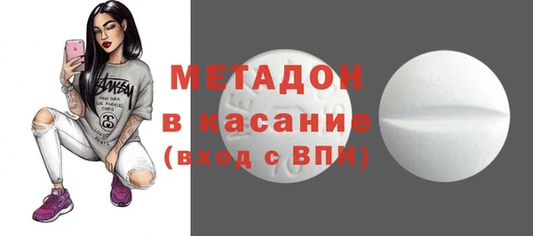 стаф Алзамай
