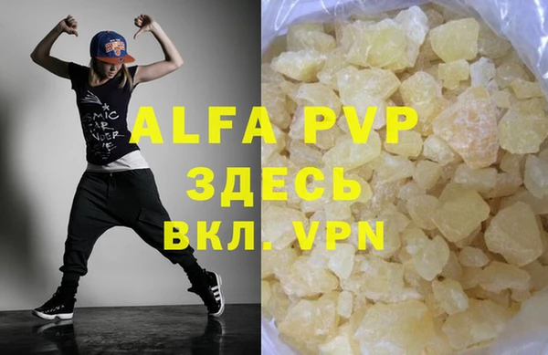 крисы Алексин