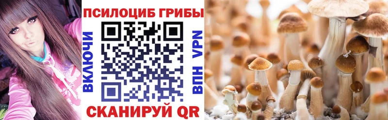 Галлюциногенные грибы мухоморы Заозёрный