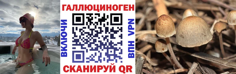 купить  цена  Заозёрный  Галлюциногенные грибы ЛСД 
